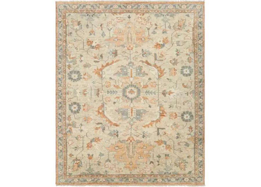 Biscayne BSY-2320 8' x 10' Handmade Rug