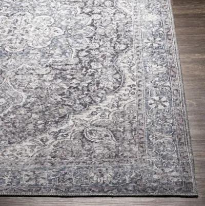 Colin 6'7" x 9' Rug