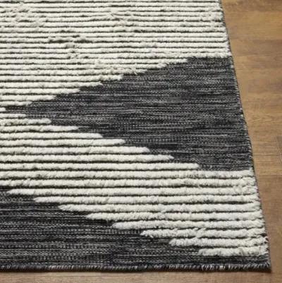 Apache 2' x 3' Rug