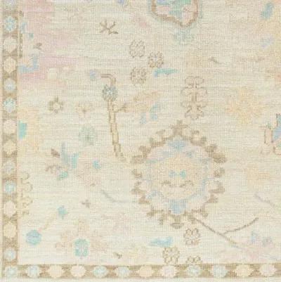 Antalya AAT-2307 10' x 14' Handmade Rug