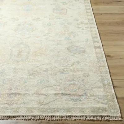 Antalya AAT-2307 10' x 14' Handmade Rug