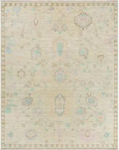 Antalya AAT-2307 10' x 14' Handmade Rug