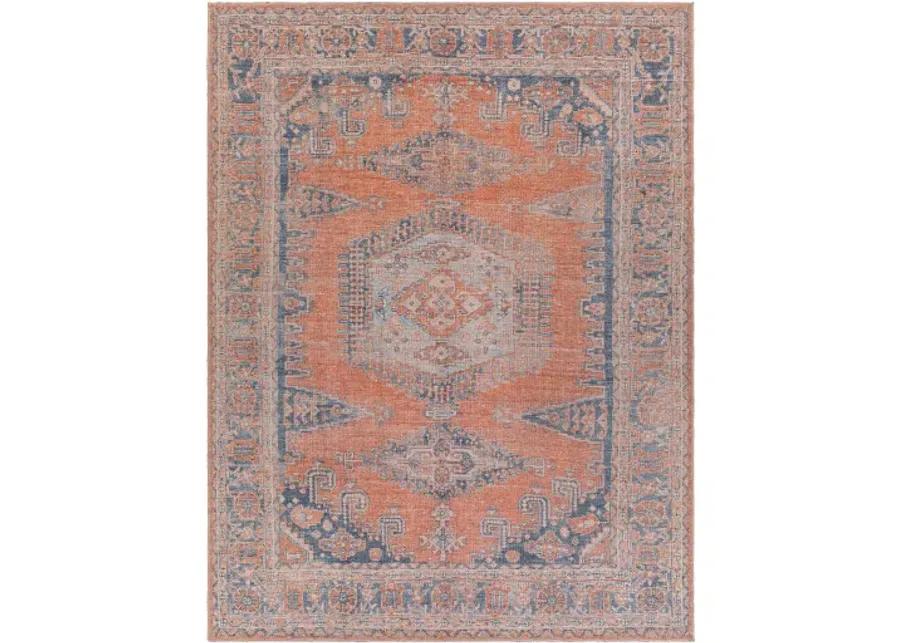 Colin CLN-2306 2'7" x 7'3" Rug