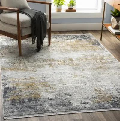 Solar 3' x 9'10" Rug