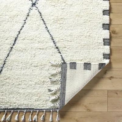 Mirela MMI-2306 9' x 12' Hand Made Rug