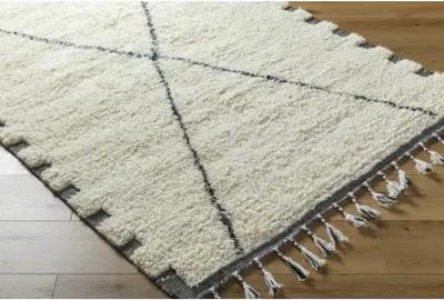 Mirela MMI-2306 9' x 12' Hand Made Rug