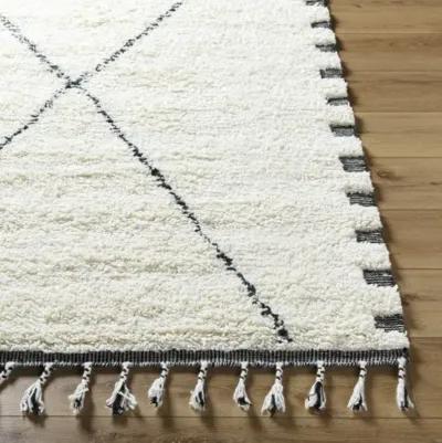 Mirela MMI-2306 9' x 12' Hand Made Rug