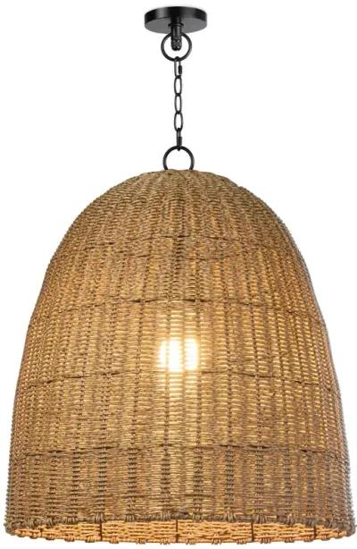 Coastal Living Beehive Outdoor Pendant 