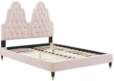 Alexandria Tufted Performance Velvet King Platform Bed