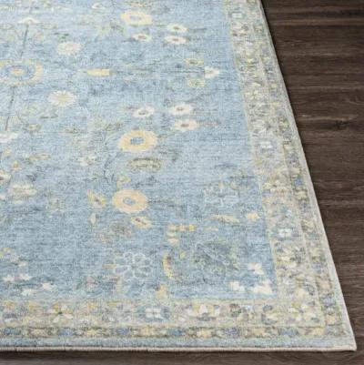 Erin 2'6" x 4' Rug