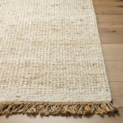 Aylin AYI-2300 6' x 9' Hand Made Rug