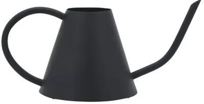 Metal 6"h Watering Can, Black