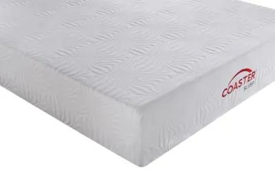 Ian California King Memory Foam Mattress White