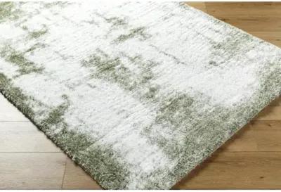 Cloudy Shag CDG-2329 7'10" x 10' Machine Woven Rug