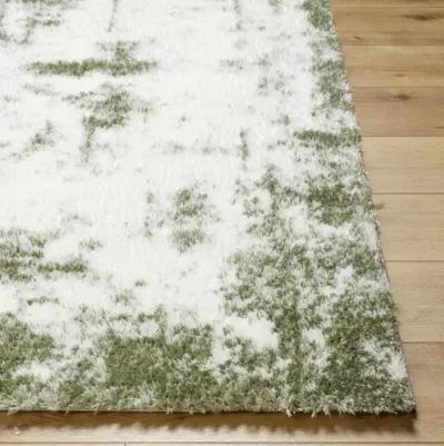 Cloudy Shag CDG-2329 7'10" x 10' Machine Woven Rug