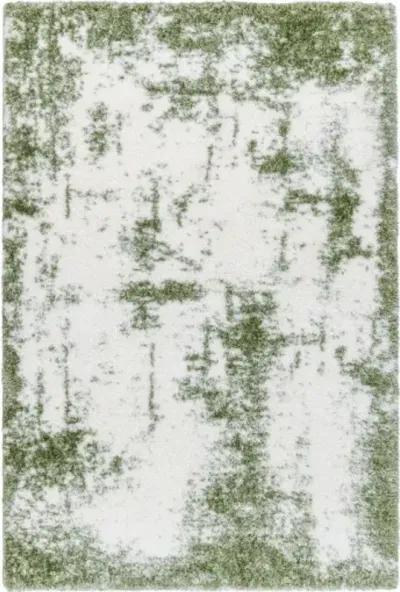 Cloudy Shag CDG-2329 7'10" x 10' Machine Woven Rug