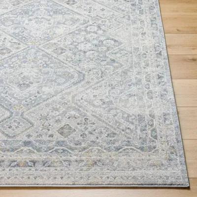 Alpharetta APH-2311 5'3" x 7' Machine Woven Rug