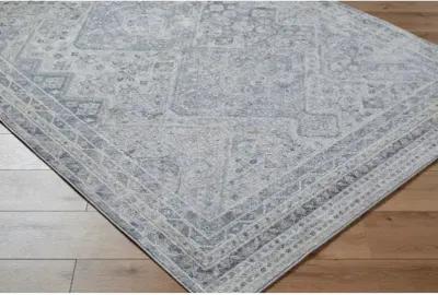 Alpharetta APH-2311 5'3" x 7' Machine Woven Rug