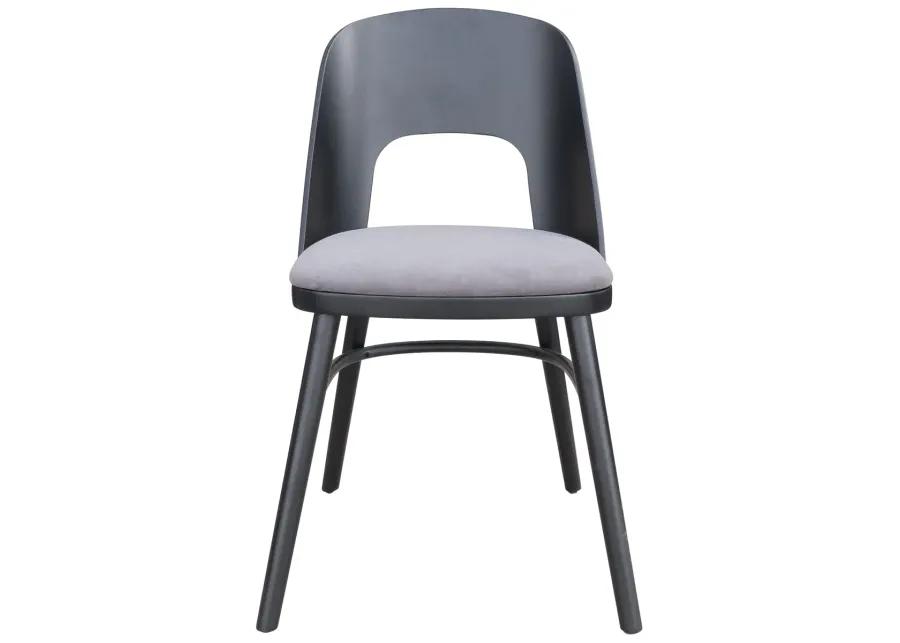 Iago Dining Chair (Set of 2) Gray & Black