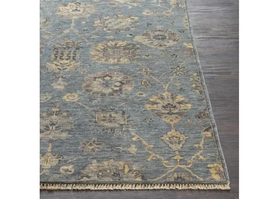 Theodora 2'6" x 8' Rug