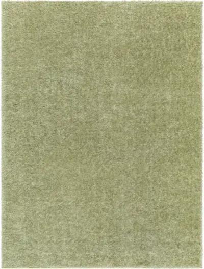 Cloudy Shag CDG-2322 6'7" x 9' Machine Woven Rug