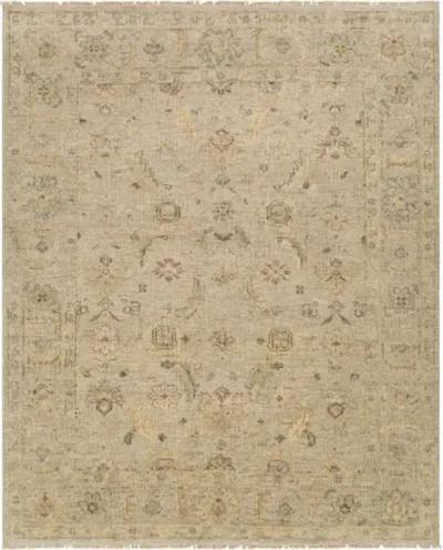 Biscayne BSY-2317 9' x 12' Handmade Rug