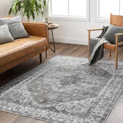 Amelie AML-2371 2'7" x 7'10" Machine Woven Rug