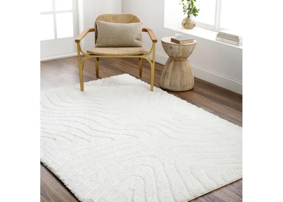 Nomadic NMC-2315 6'7" x 9' Machine Woven Rug