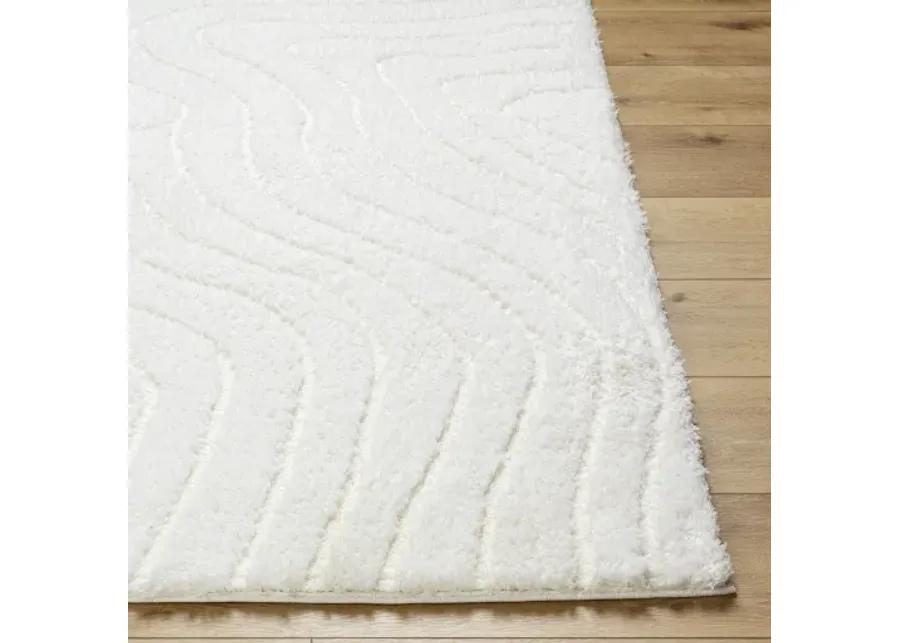 Nomadic NMC-2315 6'7" x 9' Machine Woven Rug