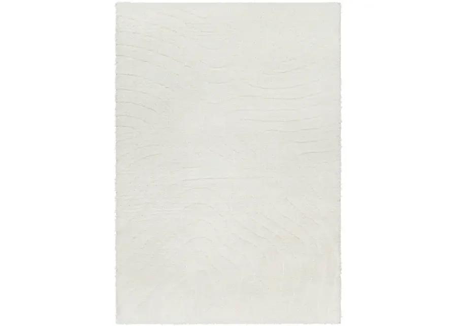 Nomadic NMC-2315 6'7" x 9' Machine Woven Rug