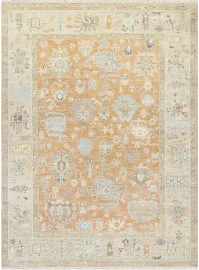 Antalya AAT-2313 6' x 9' Handmade Rug