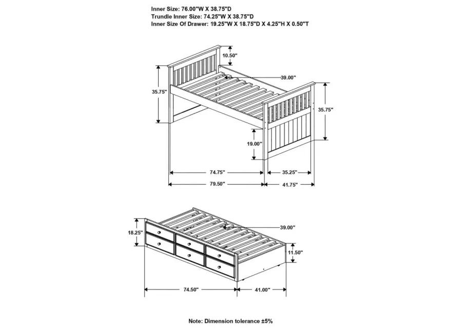 Rochford Twin Captain's Daybed with Storage Trundle Black