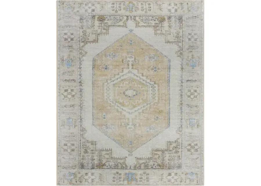 Amelie AML-2369 2'7" x 7'10" Machine Woven Rug