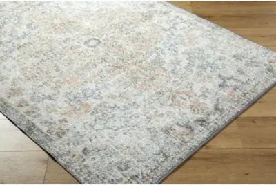 Harput HAP-1163 3'11" x 5'7" Machine Woven Rug