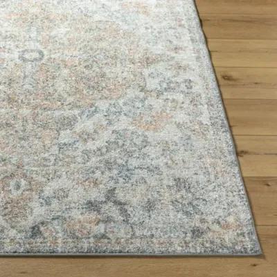 Harput HAP-1163 3'11" x 5'7" Machine Woven Rug