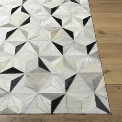 Trail 9' x 12' Rug