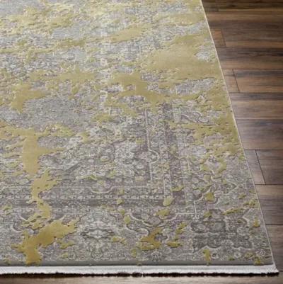 Solar SOR-2320 1'11" x 2'11" Machine Woven Rug