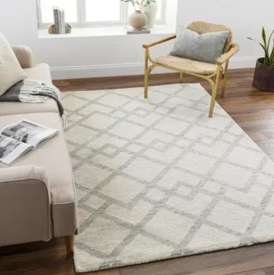 Gavic GVC-2319 5'3" x 7'3" Machine Woven Rug