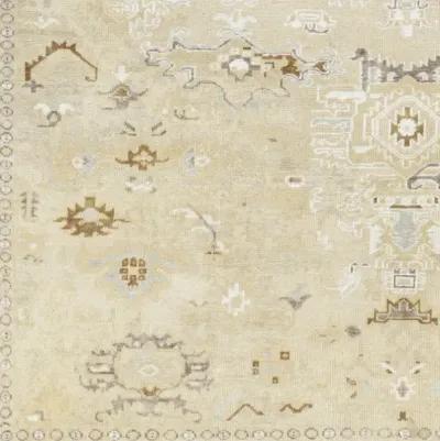 Shiraz SHZ-2300 9' x 12' Handmade Rug