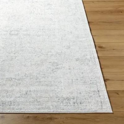 Harput HAP-1162 2' x 2'11" Machine Woven Rug