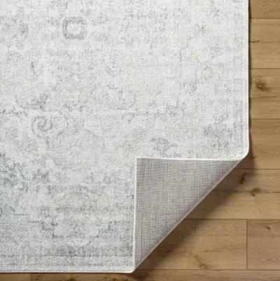 Harput HAP-1162 2' x 2'11" Machine Woven Rug