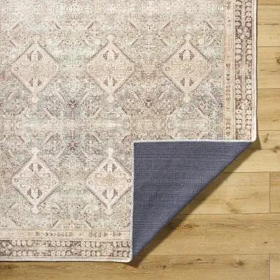 Amelie AML-2394 7'10" x 10'2" Machine Woven Rug