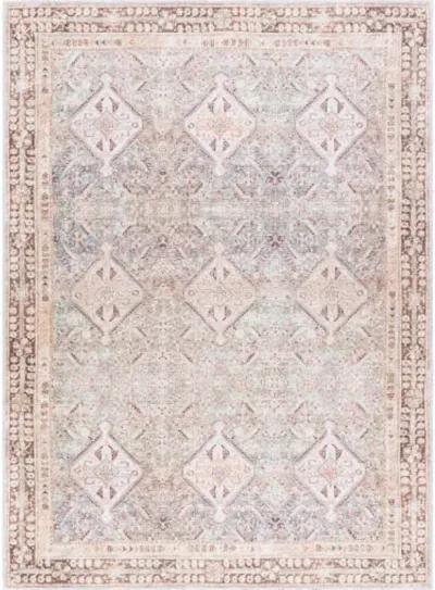 Amelie AML-2394 7'10" x 10'2" Machine Woven Rug