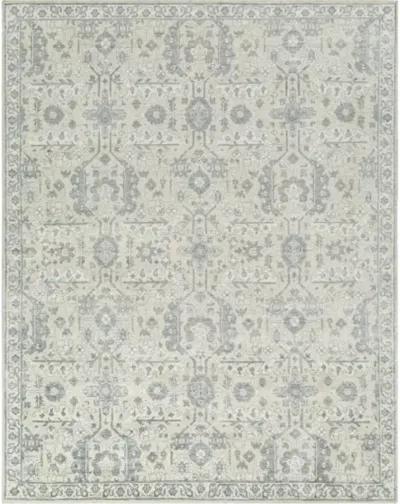 Aleyna ANE-2300 2' x 3' Handmade Rug