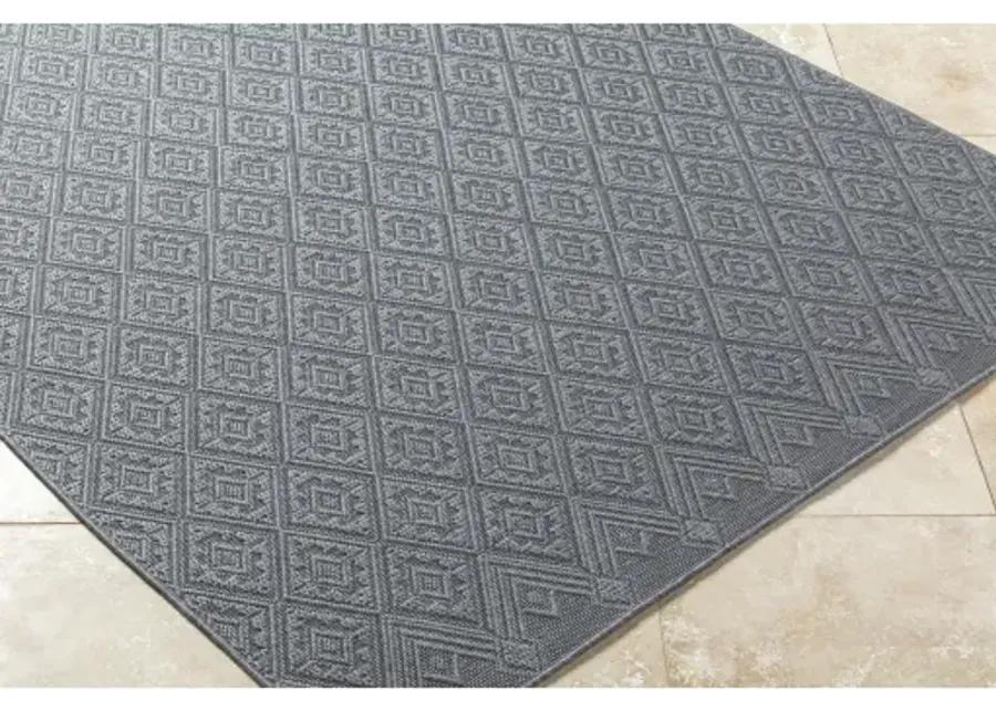 Sandra SDR-2318 7'10" x 10' Machine Woven Rug