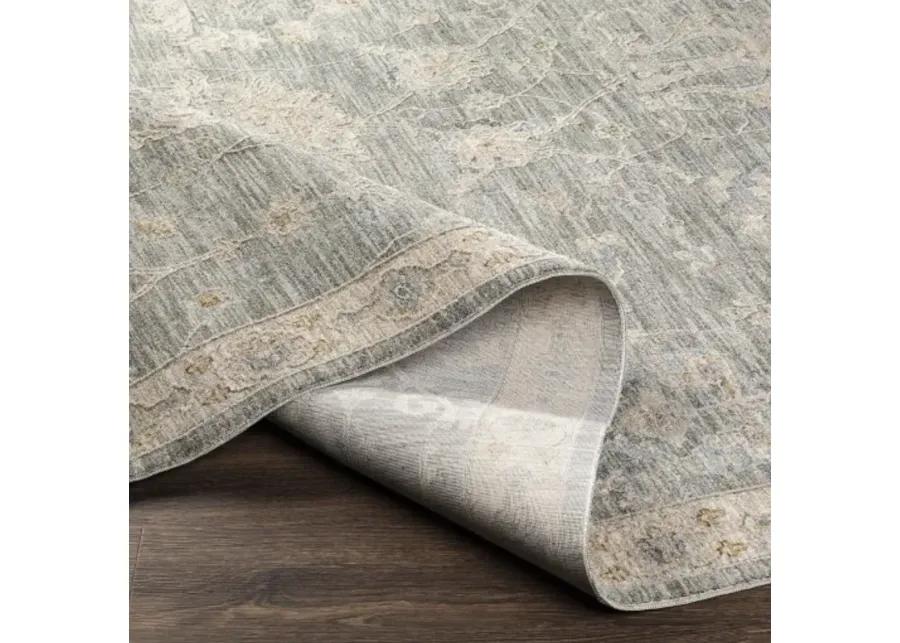 Avant Garde AVT-2305 2'7" x 7'3" Rug