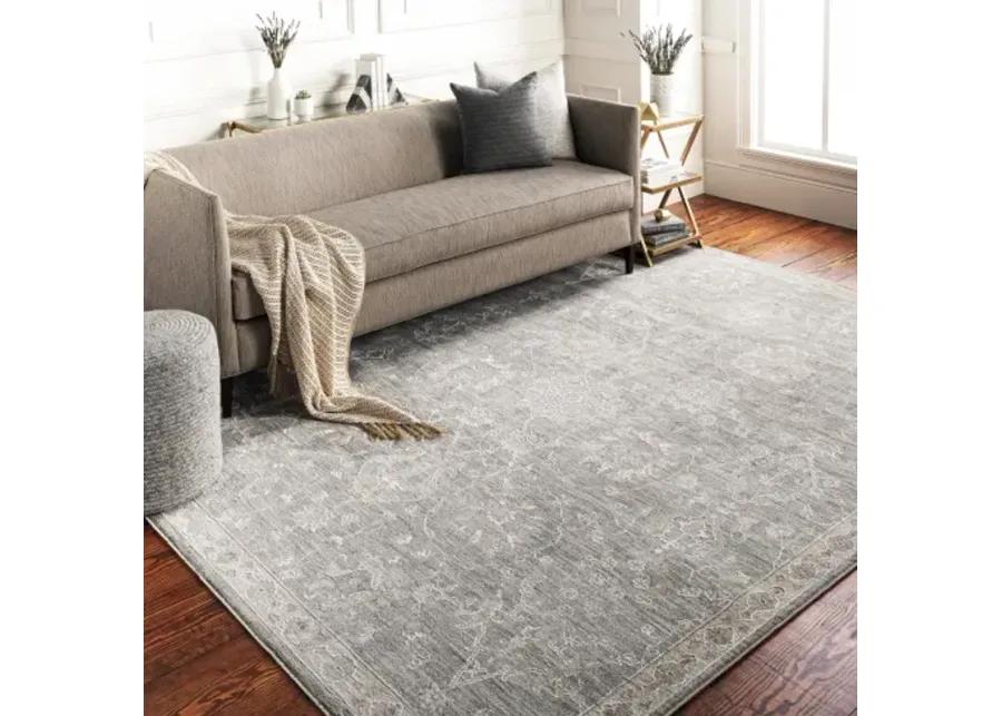 Avant Garde AVT-2305 2'7" x 7'3" Rug