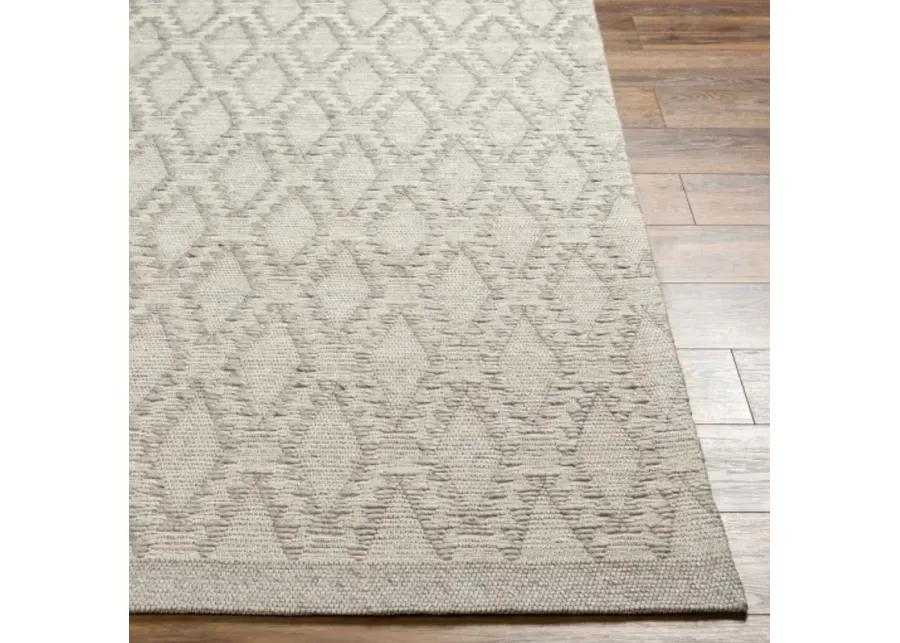 Napoli NPO-2313 6' x 9' Hand Made Rug