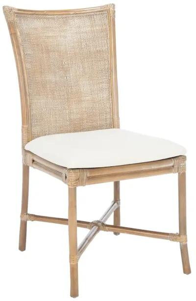 CHIARA RATTAN Dining  CHAIR W/ CUSHION - Set of 2