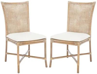 CHIARA RATTAN Dining  CHAIR W/ CUSHION - Set of 2